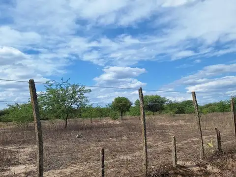Venta de Lotes Los Cardozo por Camino de la costa