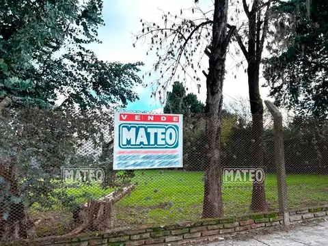 Alvear 1300