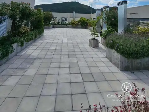 Departamento en Alquiler de Monoambiente