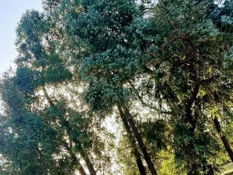 Terreno en Venta en La Lonja, USD 32.000