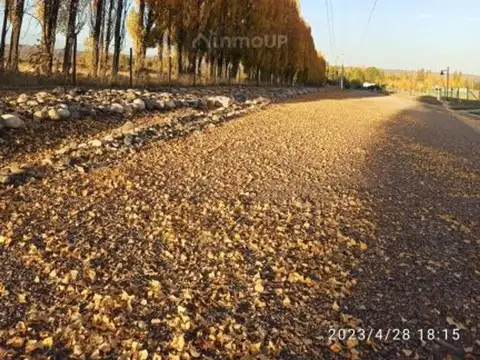 Terreno en Venta en San Jose de Tupungato, USD 28.950