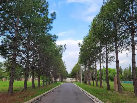 Imperdible Oportunidad! Lote En Venta En Barrio Nueva Zelaya 2,