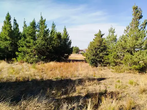 Terreno en  Venta - Vista al lago -San Carlos de Bariloche