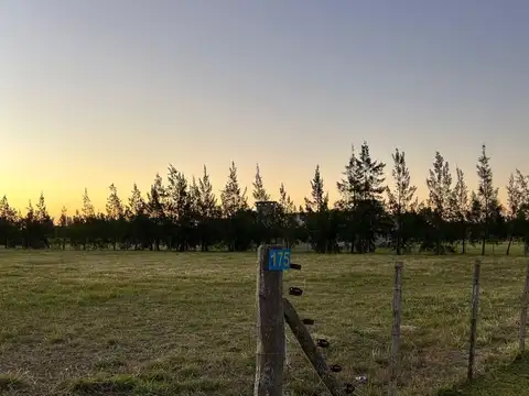 VENTA CHACRAS DE ABBOTT  lote 6540 mt 