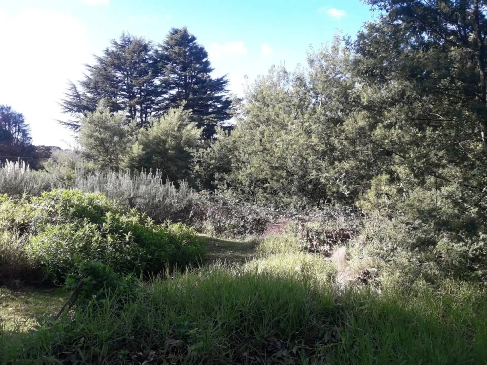 VENDO TERRENO EN SIERRA DE LOS PADRES ZONA GOLF