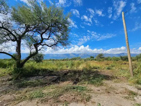 Loteo "La Aurelia" Carpintería RELANZAMIENTO 