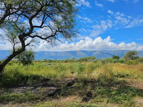Loteo "La Aurelia" Carpintería RELANZAMIENTO 