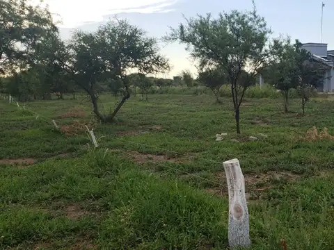 Terreno en Venta en Centro, USD 19.000