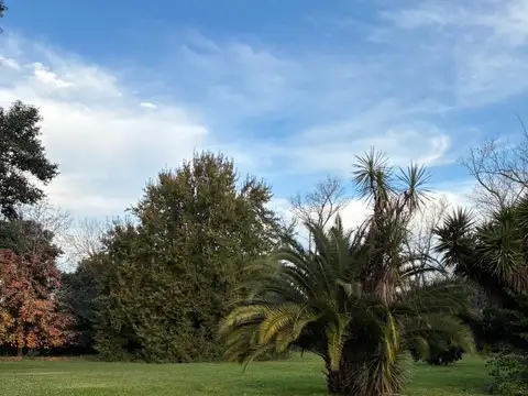 Pascual Gallo 1700