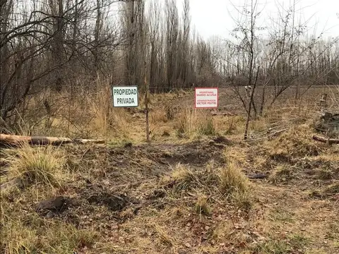 Venta Chacra en Rio Colorado financiado