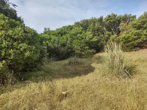 Calle 28 Villa Gesell