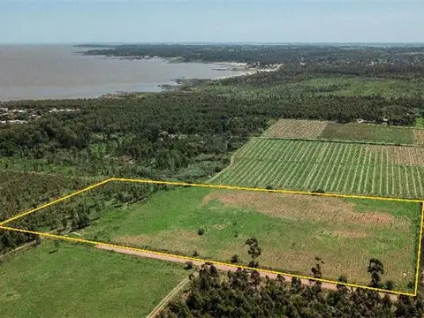 PROPIEDADES RURALES - CHACRA - MONTEVIDEO