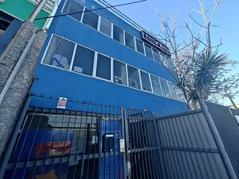 Coelctora Panamericana  al 1800