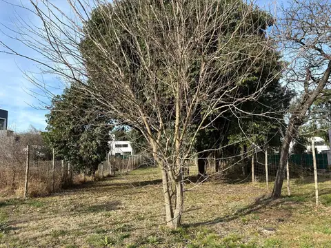 Terreno en Venta en Villa Catalina, USD 32.000