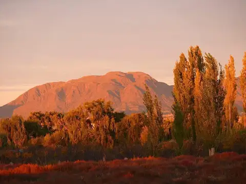 Campo en Venta en Rama Caida, San Rafael