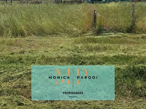 C. Cam. A Navarro Lote 891