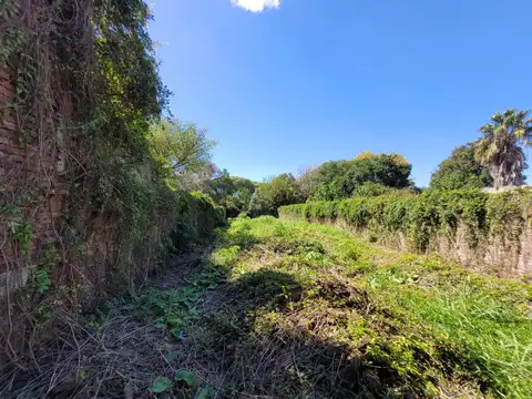 Terreno en Venta 48  mts Fondo