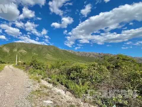 Terreno en Venta 50  mts Fondo