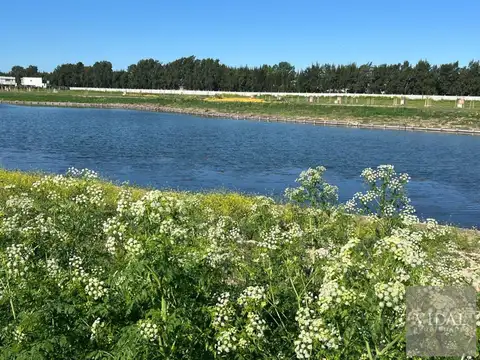 Lote al lago con proyecto y planos aprobados en Barrio Silvestre Nordelta