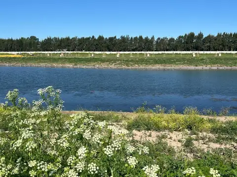 Terreno en Venta de 715,0 m2