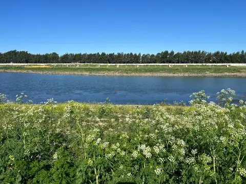 Lote al lago en Barrio Silvestre Nordelta