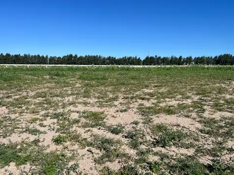 Lote al lago con proyecto y planos aprobados en Barrio Silvestre Nordelta