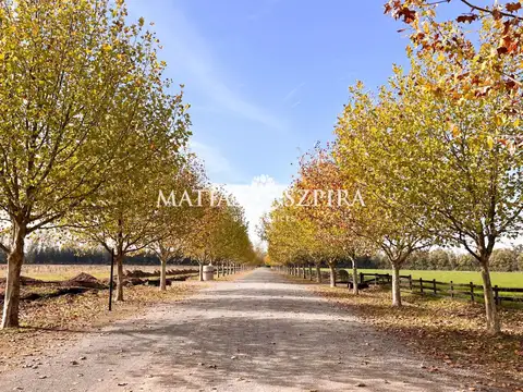 Terreno en Venta en General Rodriguez, USD 65.000