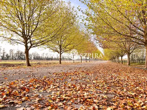 Lote - Venta - Argentina, General Rodríguez