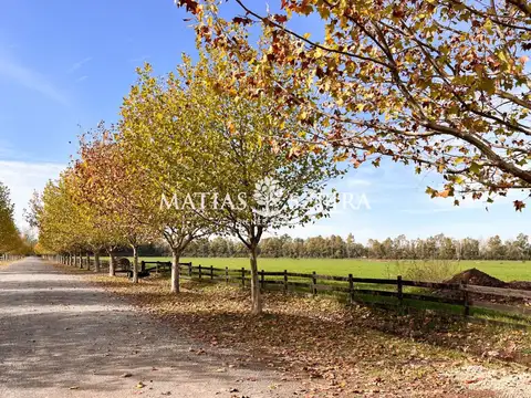 Terreno en Venta de 1534,0 m2