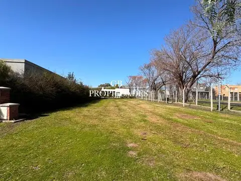 Santa Elena 100