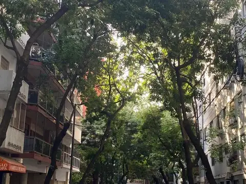 Departamento monoambiente en Alquiler en Palermo zona Alto Palermo