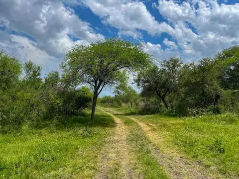 109 has de Campo Ganadero. Sauce de Luna - Federal