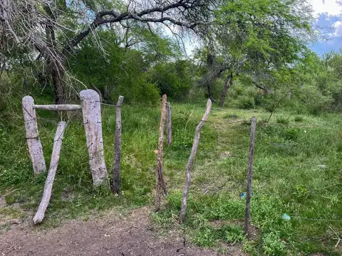 109 has de Campo Ganadero. Sauce de Luna - Federal