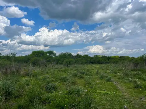 109 has de Campo Ganadero. Sauce de Luna - Federal