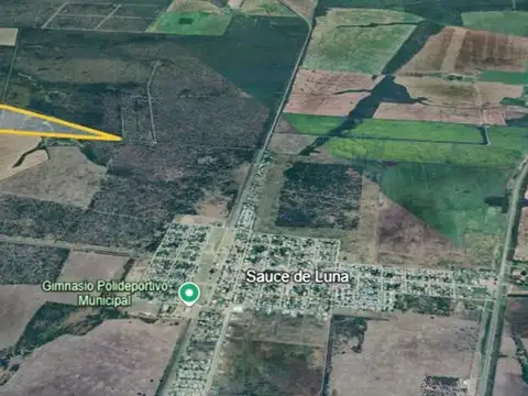 109 has de Campo Ganadero. Sauce de Luna - Federal