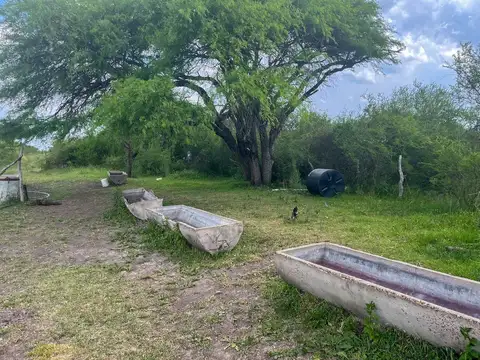 109 has de Campo Ganadero. Sauce de Luna - Federal