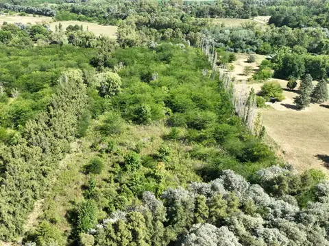 Campo en Venta de 3  ha