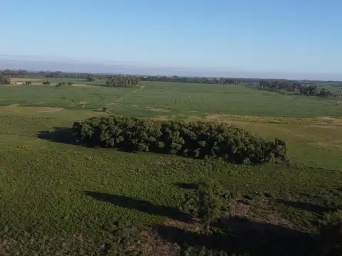 Terreno en Venta de 3903,0 m2