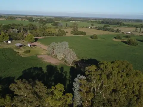 Terreno en Venta de 3903,0 m2