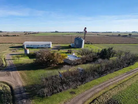 VENTA DE CAMPO PRODUCTIVO DE 4 HECTAREAS EN FIRMAT