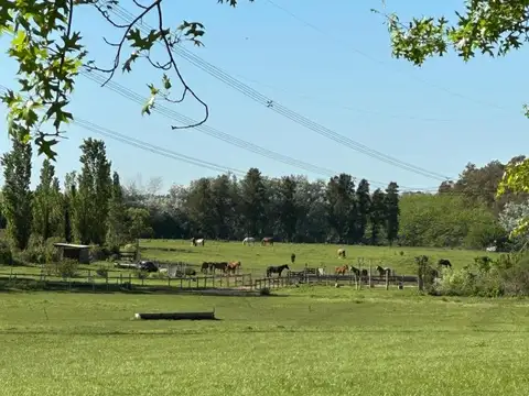 Terreno en Venta de 3358,0 m2