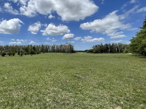 Excelente Lote Interno en Chacras de La Cruz