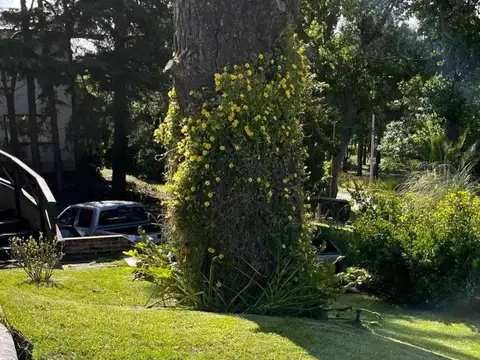 Camino de los Pioneros y Avenida Buenos Aires