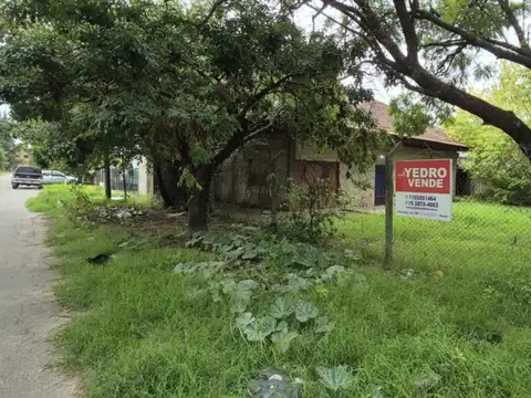 Juan Bautista Alberdi 1700