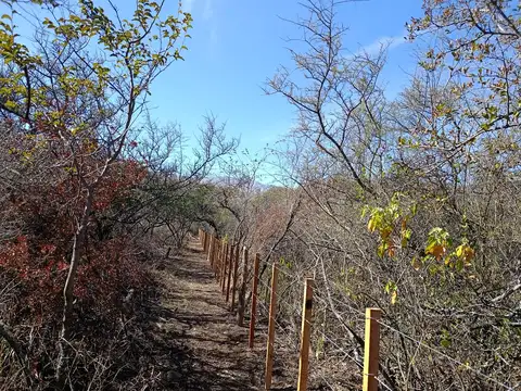 Los Molles, Villa de las Rosas, Cordoba