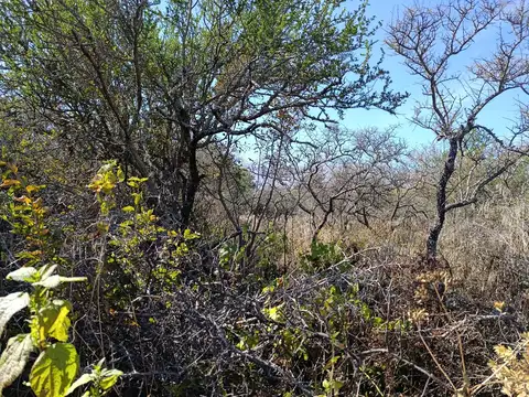 Terreno en Venta en Los Molles, USD 30.000