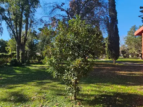 Casa en Alquiler de 2 dormitorios