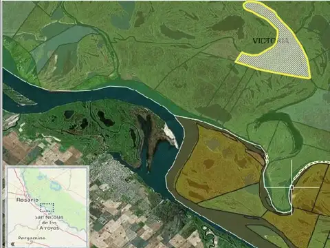 985 Has ganaderas en las islas de Victoria