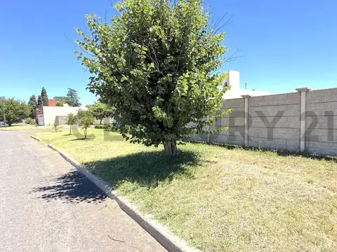 Terreno en Venta 30,15  mts Fondo