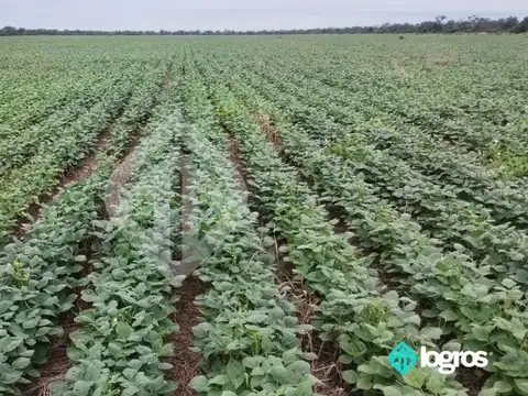 Campo en venta | 12000 has | Zona La Estrella | Salta